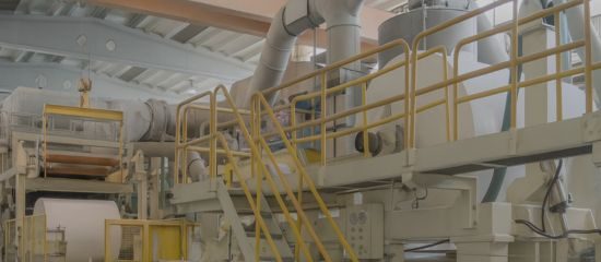 Pulp and Paper Industry Application